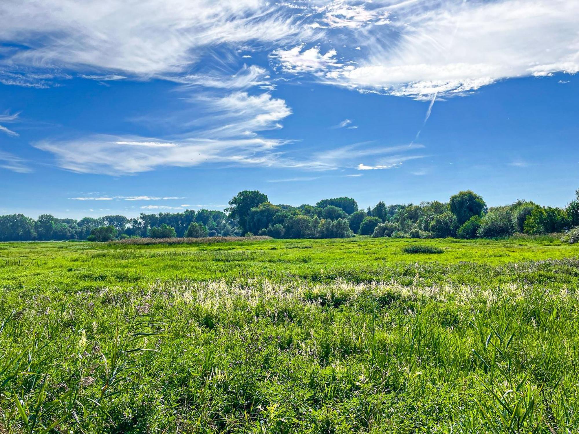 Haffblick Wohnung 41 Boltenhagen  Exteriör bild